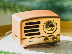 智能蓝牙音箱Ⅰ